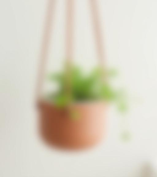 Modern ceramic hanging planter with leather cord, holding a small plant